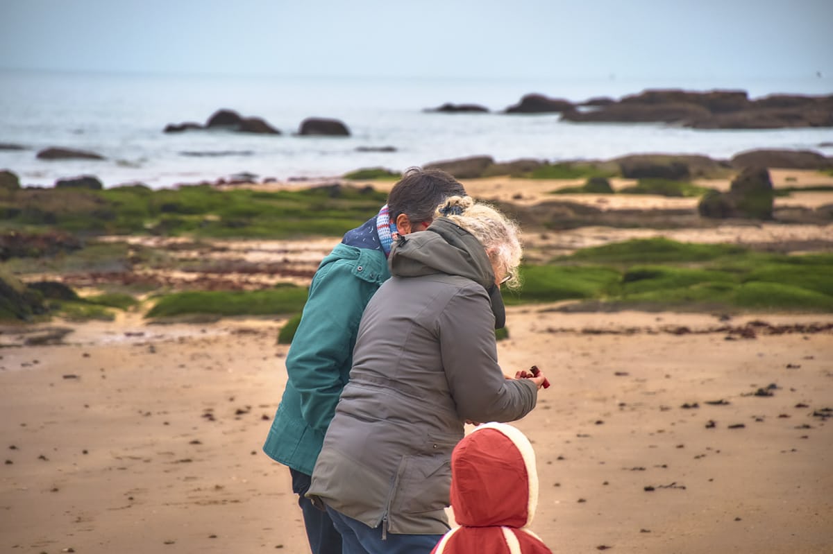 Mobirise Website Builder